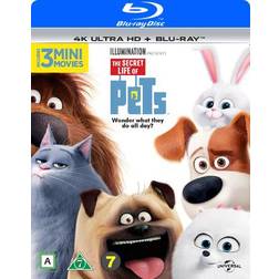 Husdjurens hemliga liv (4K Ultra HD + Blu-ray) (Unknown 2016)
