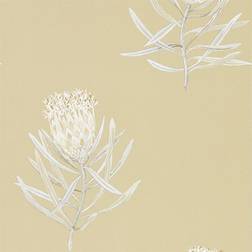 Sanderson Protea Flower - Sepia/(216331)