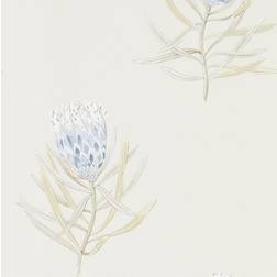 Sanderson Protea Flower - China Blue/Canvas (216327)