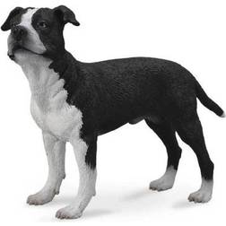 Collecta American Staffordshire Terrier 88610