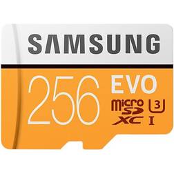Samsung Evo MicroSDXC UHS-I U3 256GB