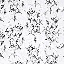 Mimou Rainbirds (WP2100)
