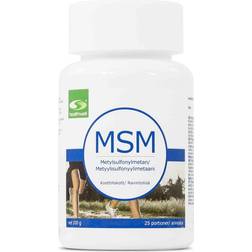 Healthwell MSM Powder 100g