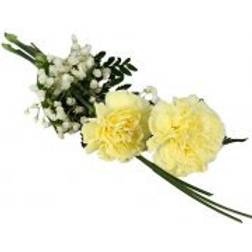 Blommor till begravning & kondoleanser Handcuff with Yellow Carnations & Bear Grass Lång bukett