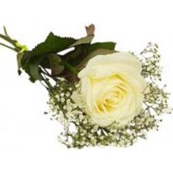 Blommor till begravning & kondoleanser Stretcher Bouquet Lång bukett