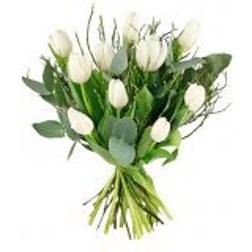 Blommor till begravning & kondoleanser White Tulips Buntar