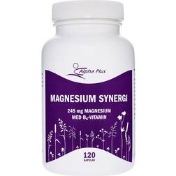 Alpha Plus Magnesium Synergi 120 st