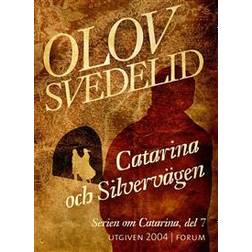 Catarina och Silvervägen: En historisk roman (E-bok)
