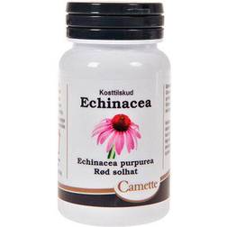 Camette Echinacea 90 st
