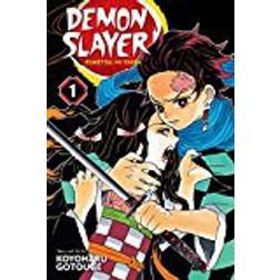 Demon Slayer: Kimetsu no Yaiba, Vol. 1 (Häftad, 2018)