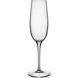 Luigi Bormioli Palace Champagneglas 23.5cl 6st