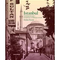 Istanbul - Vandringar i europas största stad (E-bok, 2015)