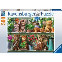 Ravensburger Cats on the Shelf 500 Pieces
