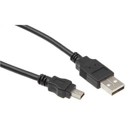 Iiglo USB A-USB Mini-B 2.0 2m