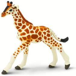 Safari Reticulated Giraffe Baby 268529