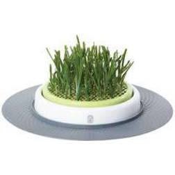 Hagen Catit Design Senses Grass Garden - Catgrass Refill