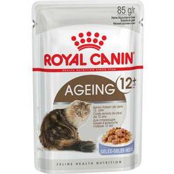 Royal Canin Aging 12+ in Jelly