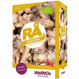 Wellnox Organic INGEFÄRA Bag-in-Box 300cl