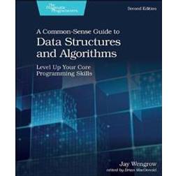 A Common-Sense Guide to Data Structures and Algorithms, 2e (Häftad, 2020)