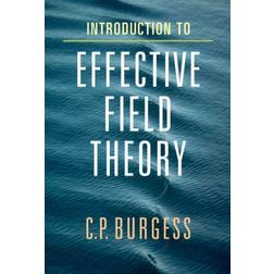 Introduction to Effective Field Theory (Inbunden, 2020)
