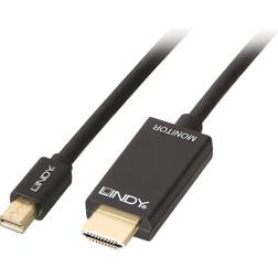 Lindy DisplayPort - DisplayPort Mini 3m