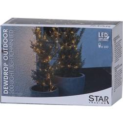 Star Trading Dew Drop Ljusslinga 200 Lampor