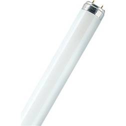 LEDVANCE Lumilux T8 Fluorescent Lamp 30W G13 830