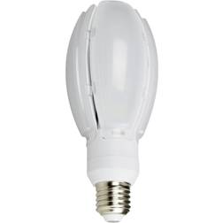 NASC Olive LED Lamp 24W E27