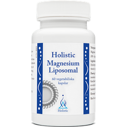 Holistic Magnesium Liposomal 90 st