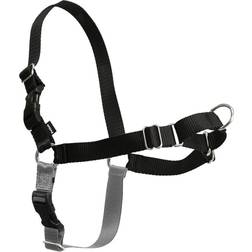 PetSafe Easy Walk Harness XL