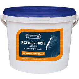 Biofarmab Kiselgur Forte 2kg