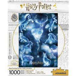 Aquarius Harry Potter Patronus 1000 Bitar