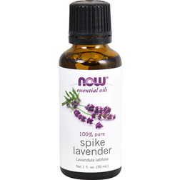 NOW Essential Oils Spike Lavender 30ml