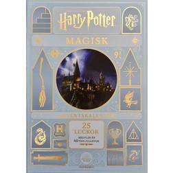Harry Potter Magic Christmas Calendar