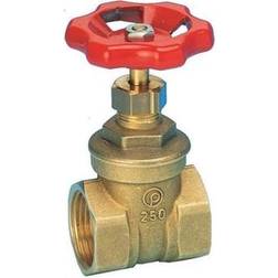 PETTINAROLI Brass gate valve 1 1/4