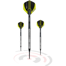 Winmau MvG Authentic soft tip dartpi