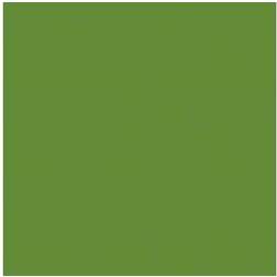 Duni Servett 3 L Leaf Green 24x24 cm