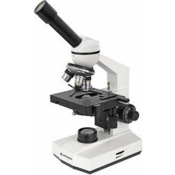 Bresser mikroskop Erudit Basic Bino 40-400x aluminium vit/svart White, Black