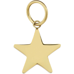 Edblad Charmentity Star Charm - Gold