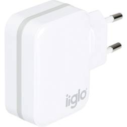 Iiglo QC 3 USB-A Charger