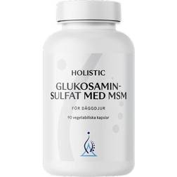Holistic Glukosaminsulfat Med MSM 100 st