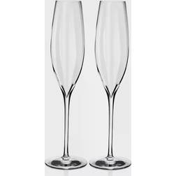 Waterford Elegance Optic Classic Champagne Glass 29.8cl 2pcs