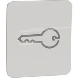 Schneider Electric WDE015714 Vippa med nyckelsymbol