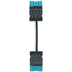 Wieland Gst18i5 cable male/female hf cpr: eca 1.5mm2 blue l=8m