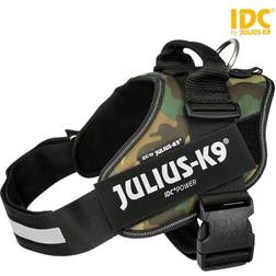 Julius-K9 IDC Hundsele 2