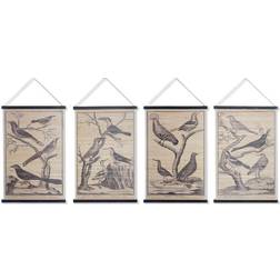 Dkd Home Decor "Kanvas Fåglar (4 pcs) (60 x 2 x 90 cm) Väggdekor