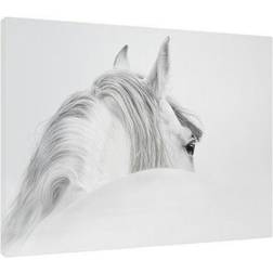 Estancia Canvas Horse White Tavla