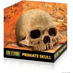 Exoterra Primate Skull Secure Hiding