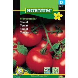 Hornum Tomat 'Moneymaker', frö