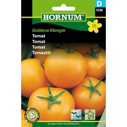 Hornum Tomat 'Goldene Königin' frö
